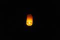Filename : 254.JPG
Filesize : 30KB
Dimensions : 1114x742
Date added : Sep 12, 2012 254.JPG