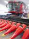 Filename : IMG_7391.JPG
Filesize : 72KB
Dimensions : 844x1125
Date added : Oct 19, 2012 IMG_7391.JPG