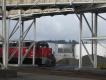 Filename : IMG_7497.JPG
Filesize : 156KB
Dimensions : 1500x1125
Date added : Oct 20, 2012 IMG_7497.JPG